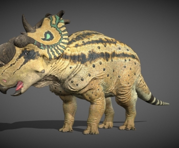 Modern Other Animals-ID:577516083