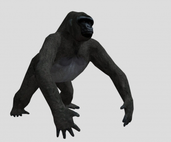 Modern Mammal-ID:503715048