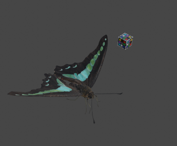 Modern Flying Animals-ID:106357104