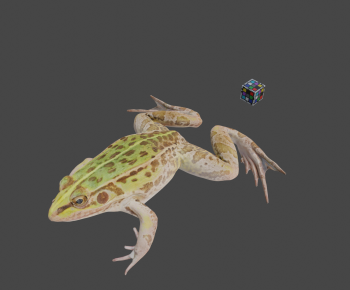 Modern Aquatic Animals-ID:569118025