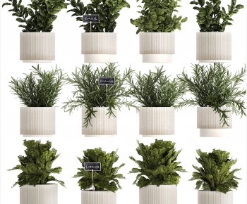 Modern Potted Green Plant-ID:736949921
