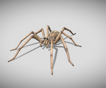 Modern Animal-ID:242361075