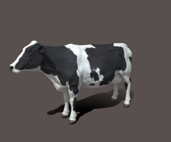 Modern Mammal-ID:136631975