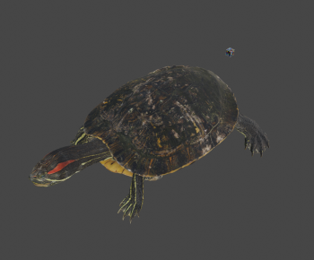 Modern Reptile-ID:706510529