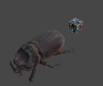 Modern Animal-ID:634752049