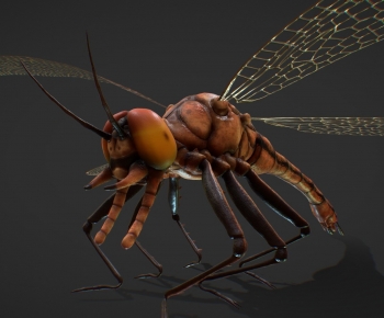 Modern Animal-ID:382307052