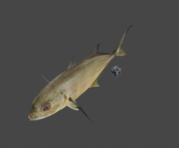 Modern Aquatic Product-ID:729876045