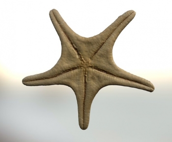 Modern Aquatic Animals-ID:179142001