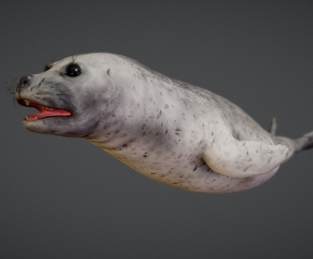 Modern Mammal-ID:904192927
