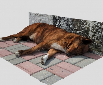 Modern Animal Dog-ID:739676955