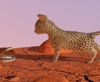 Modern Animal-ID:657649045