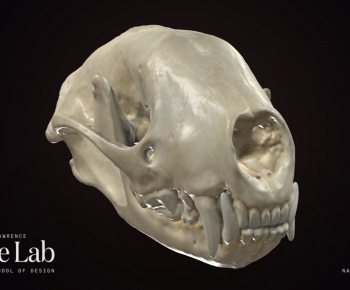 Modern Medical Equipment-ID:254543073