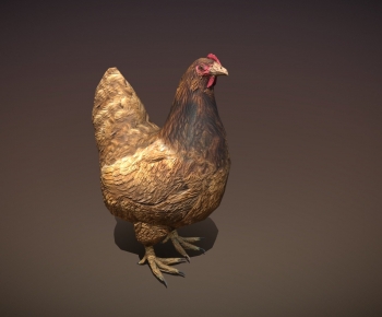 Modern Animal-ID:503182895