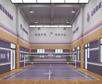 Modern Indoor Badminton Court-ID:352135902