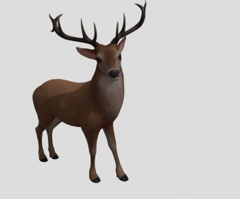 Modern Mammal-ID:265911105