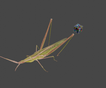Modern Animal-ID:130234005