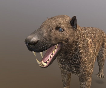 Modern Mammal-ID:526191951