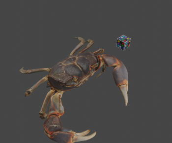 Modern Animal-ID:785721062