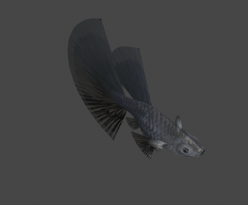 Modern Aquatic Product-ID:677067046
