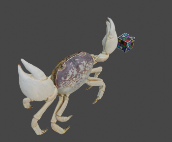 Modern Aquatic Animals-ID:892735009