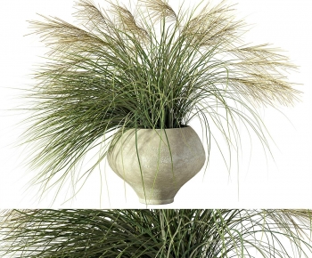 Modern Potted Green Plant-ID:801670079