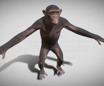 Modern Mammal-ID:378762011