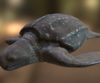 Modern Aquatic Animals-ID:329868089