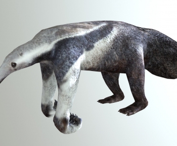 Modern Animal-ID:449476963