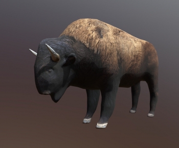 Modern Animal-ID:916800528