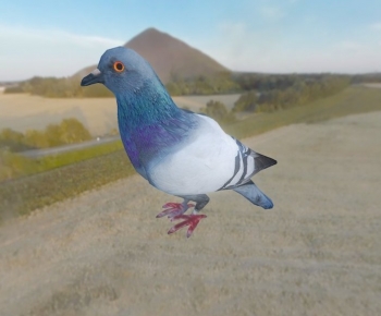 Modern Animal-ID:534662011