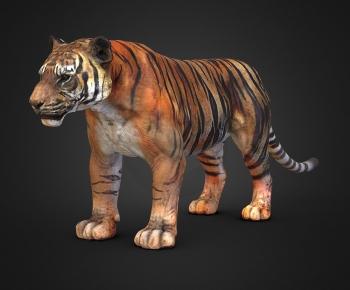 Modern Mammal-ID:772670987