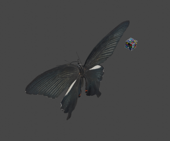 Modern Flying Animals-ID:302731994