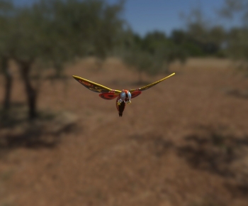 Modern Animal-ID:501739985