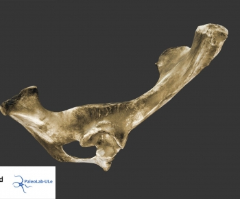 Modern Medical Equipment-ID:254746915