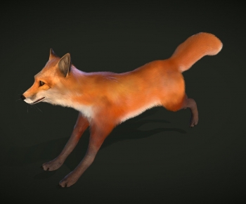 Modern Mammal-ID:846903091