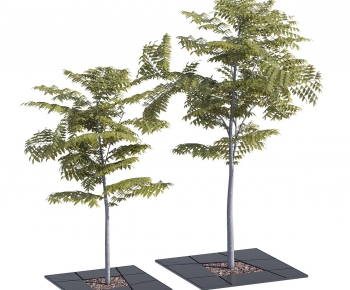 Modern Tree-ID:417912016