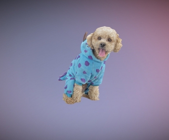 Modern Animal Dog-ID:167464971