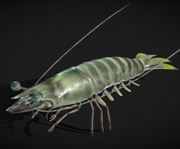 Modern Animal-ID:353355884