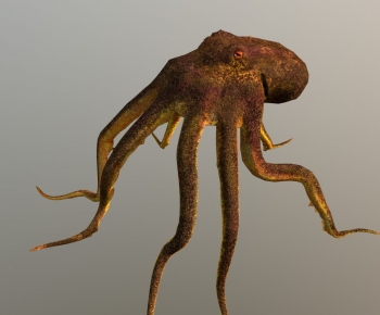Modern Aquatic Product-ID:704507118
