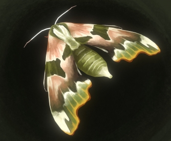 Modern Animal-ID:124269013