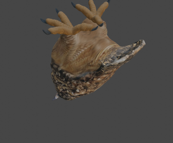 Modern Animal-ID:555698988