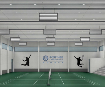 Modern Indoor Badminton Court-ID:456065897