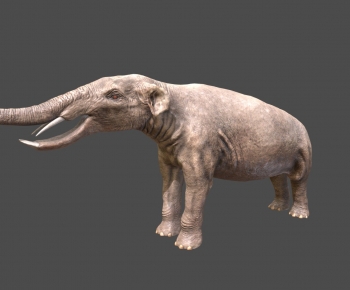 Modern Mammal-ID:728537086