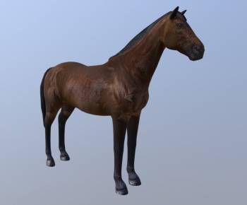 Modern Animal Horse-ID:729953054