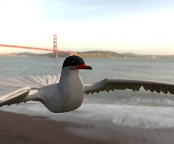 Modern Animal-ID:734169585