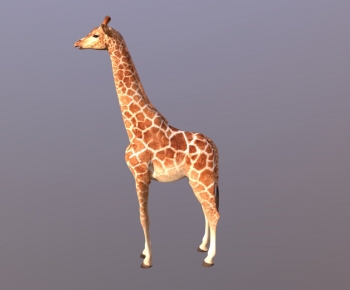 Modern Mammal-ID:708508975