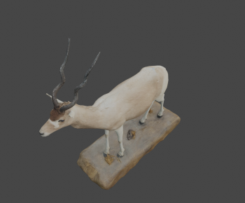 Modern Mammal-ID:797489889