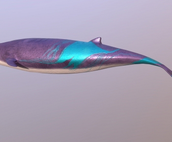 Modern Animal-ID:724890214