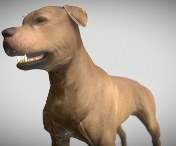 Modern Animal Dog-ID:495568995