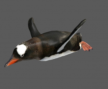 Modern Animal-ID:620728973